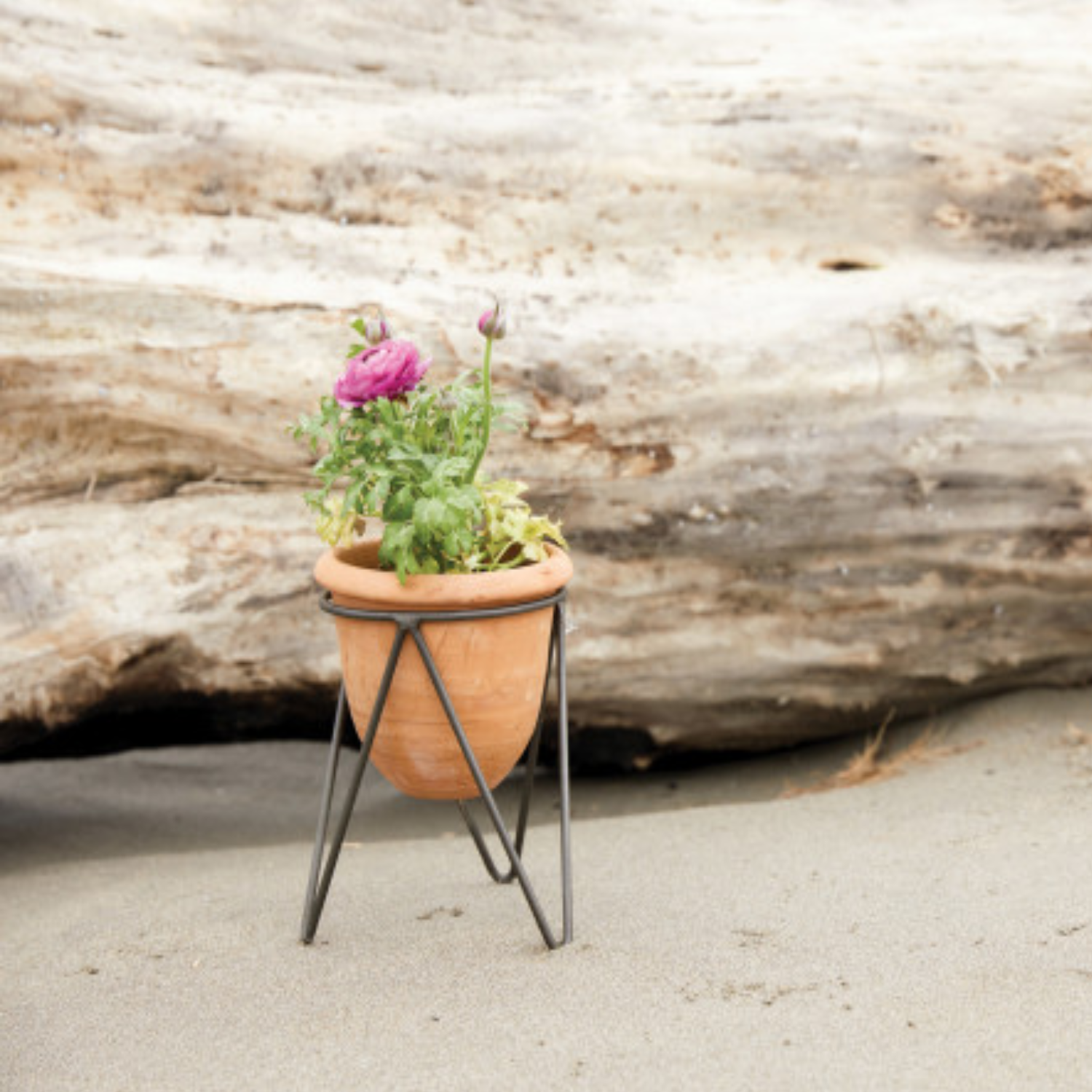 A terracotta pot with metal stand, viewed from a slight angle, displaying the pot's brown color and the metallic legs supporting it.